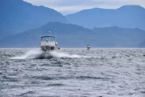 Tahoe Boat Rentals