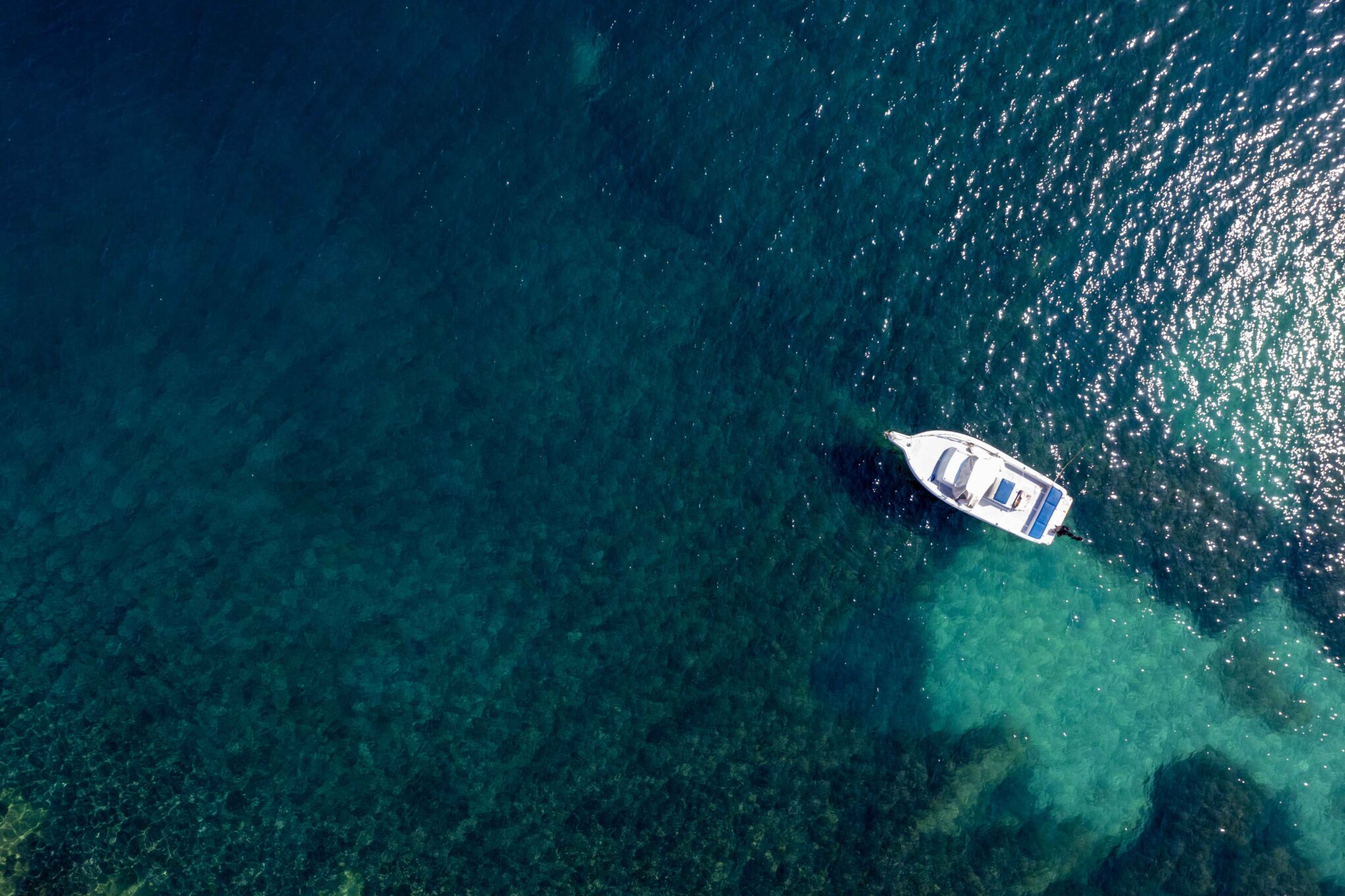The Particular Charms of North Lake Tahoe